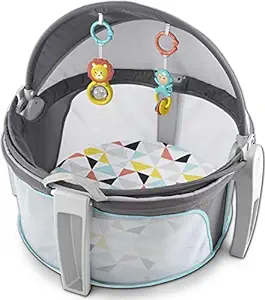 Fisher-Price Portable Baby Dome Review