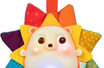 B. toys- B. baby – Baby Musical Light-Up Hedgehog Toy with L...