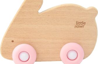 Wooden Baby Toys Car for Toddlers 1-3, Montessori Toys for B...